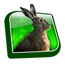 dooffy_ikony_MYSLIVCI_09_zajic
